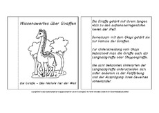 Mini-Buch-für-Lapbook-Giraffe-Lesetext.pdf